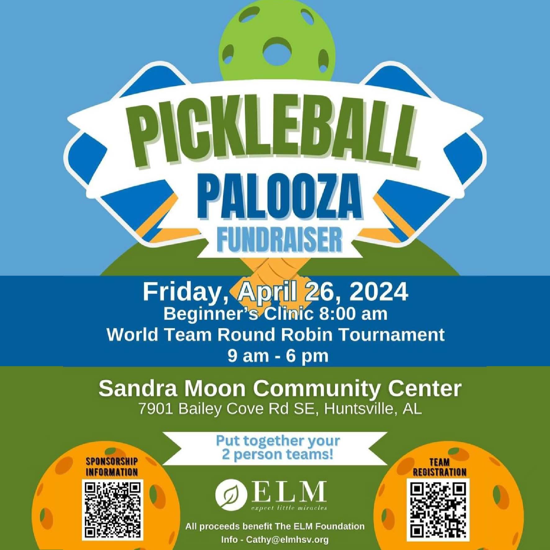 Pickleball Palooza Fundraiser Alabama Pickleball Tournaments